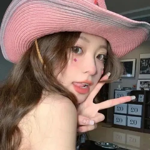 琴谜变奏曲